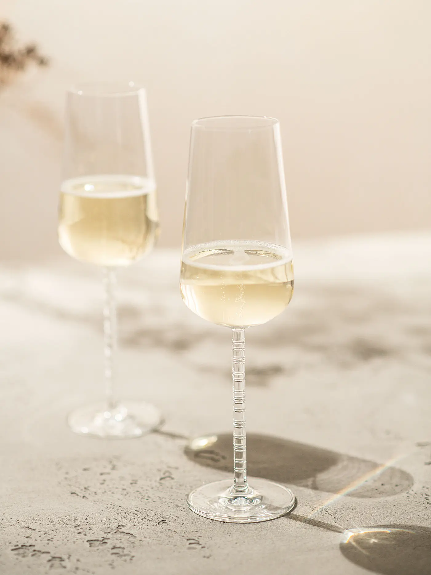 ZWIESEL GLAS | Champagnerglas 2er Set JOURNEY | 